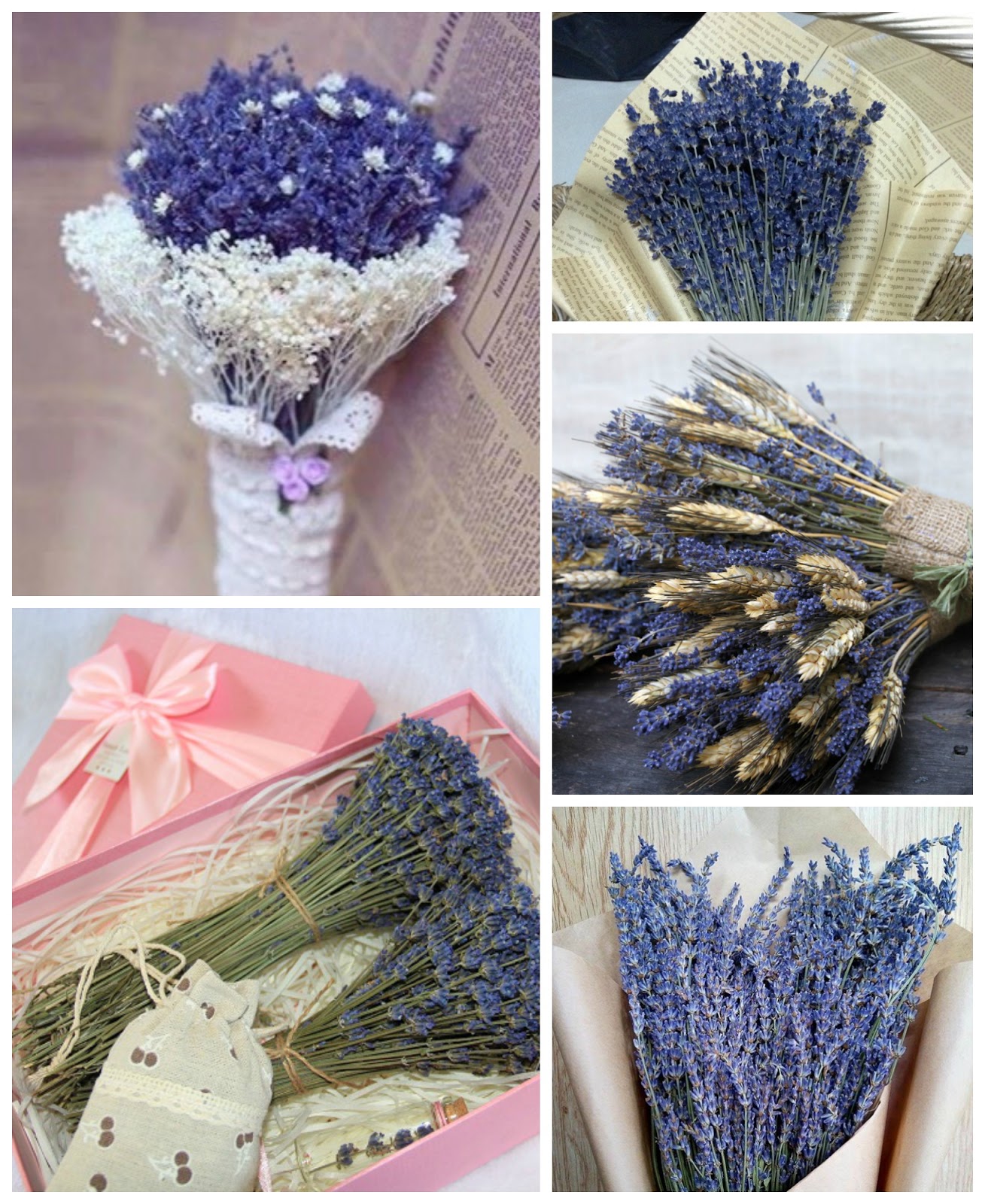 Hoa Khô Lavender Bắc Ninh 1